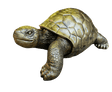 OFFRE DU MOMENT - Statue Tortue Resine 65cm Statue - Doré - ANIMAUX-RESINE.FR