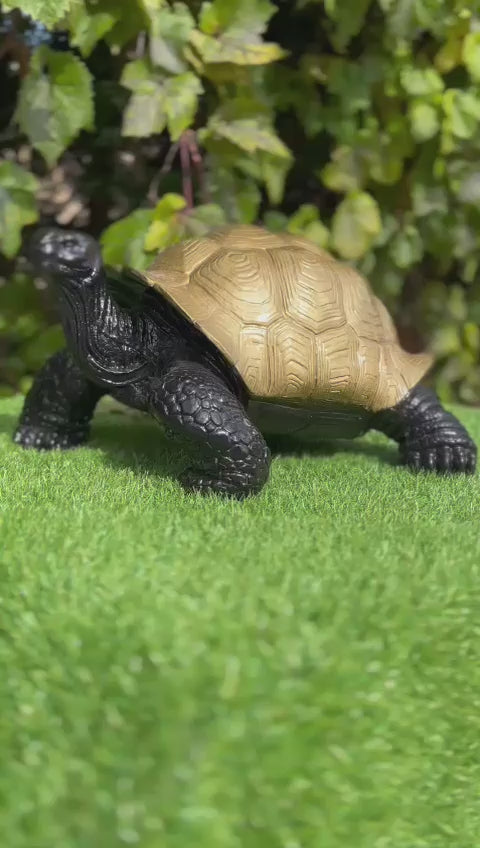 Statue Tortue Animaux Resine - 65cm - Doré